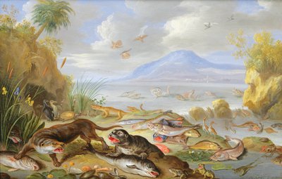 The Element of Water by Jan van Kessel the Elder